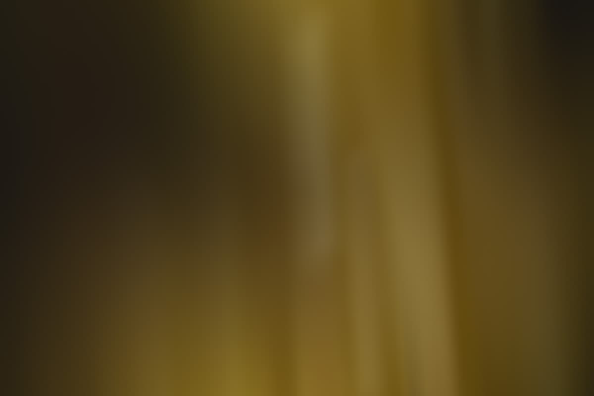 Joshua Tree 04936 1