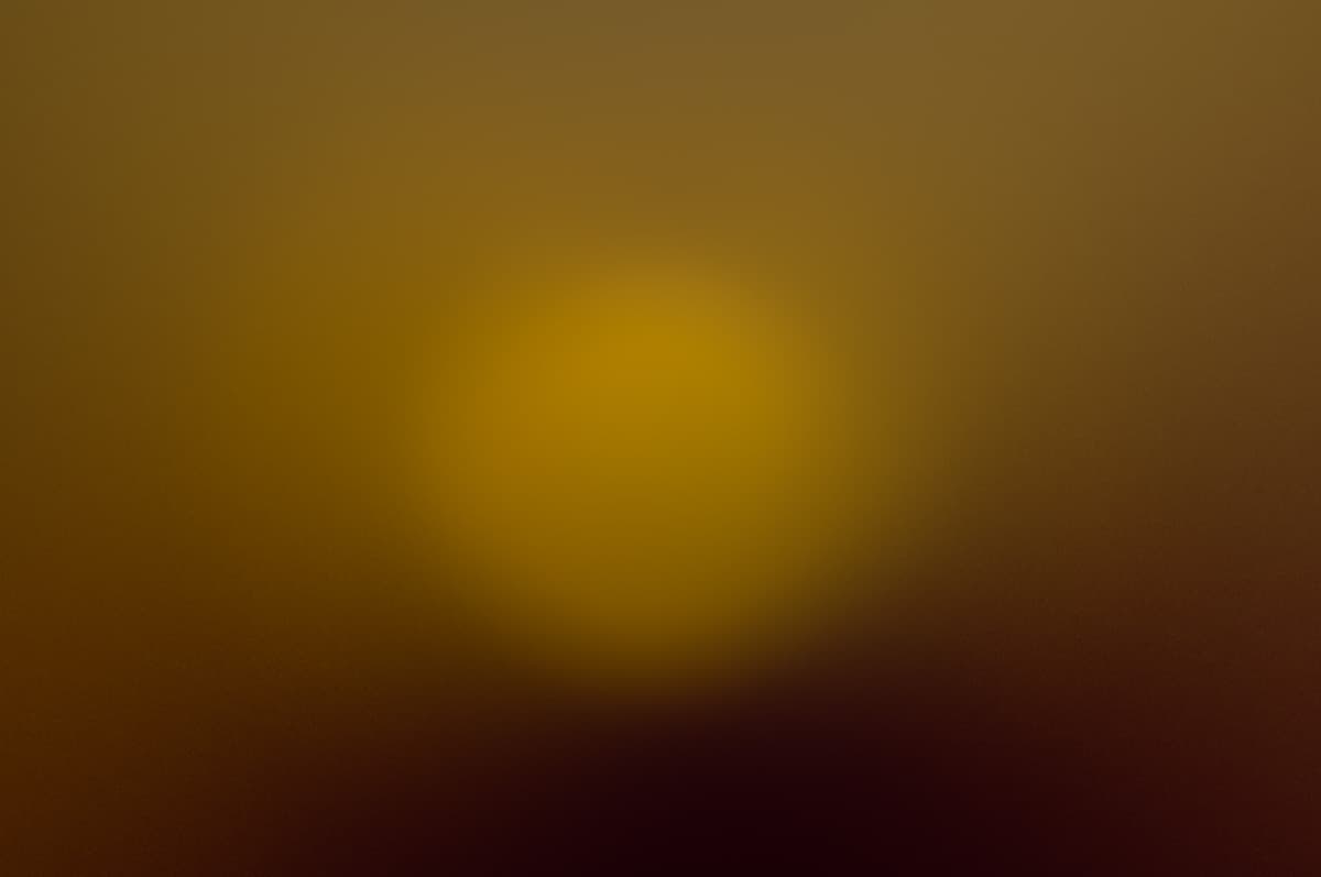 L1000048