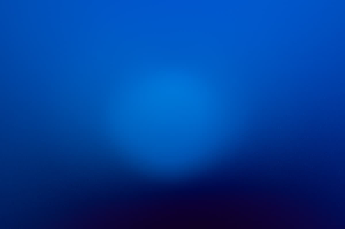 L1000048 2