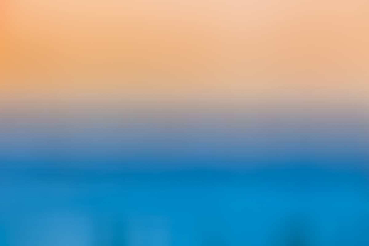 Monterey Bay Birds 004 2