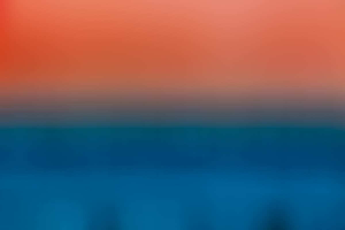 Monterey Bay Birds 004 Alt2