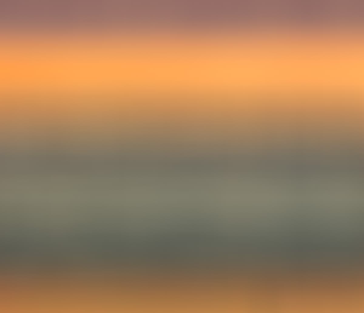 Monterey Bay Birds 004 Edit