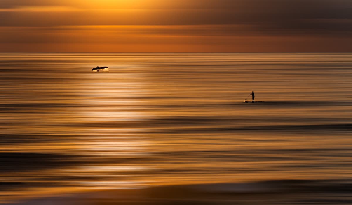 Solana Beach 0106 Flat WWhale 0001