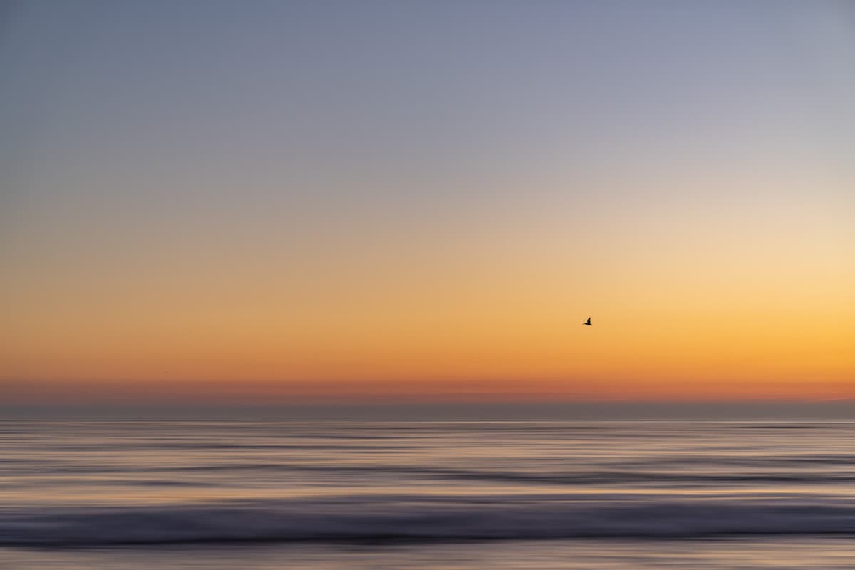 Solana Beach 3379